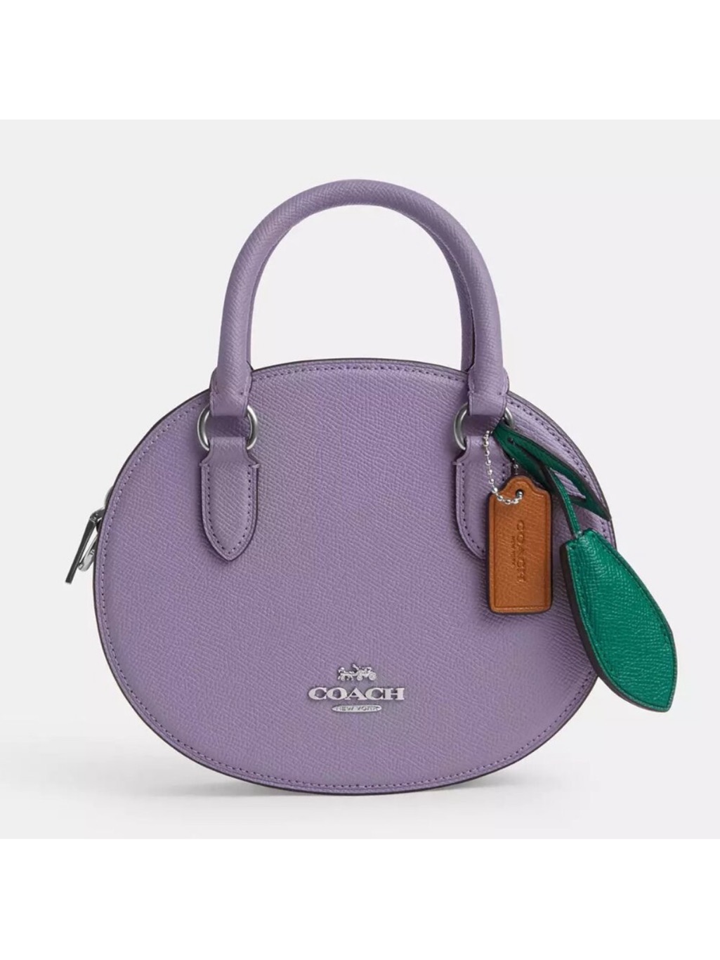 Coach Blueberry Bag Collectible Rare Crossbody
